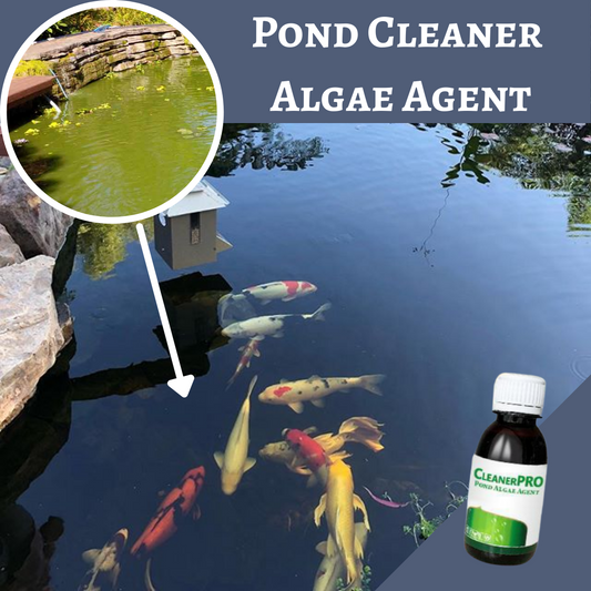 [PROMO 30% OFF] Pond Cleaner Algae Agent