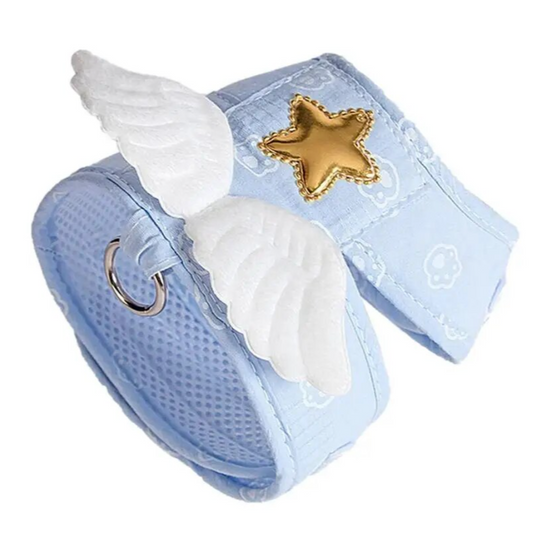 Angel Wings Harness and Leash Set