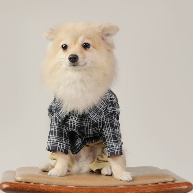 Plaid Shirt & Plain Pant Jumpsuit – Preppy & Stylish Pet Outfit