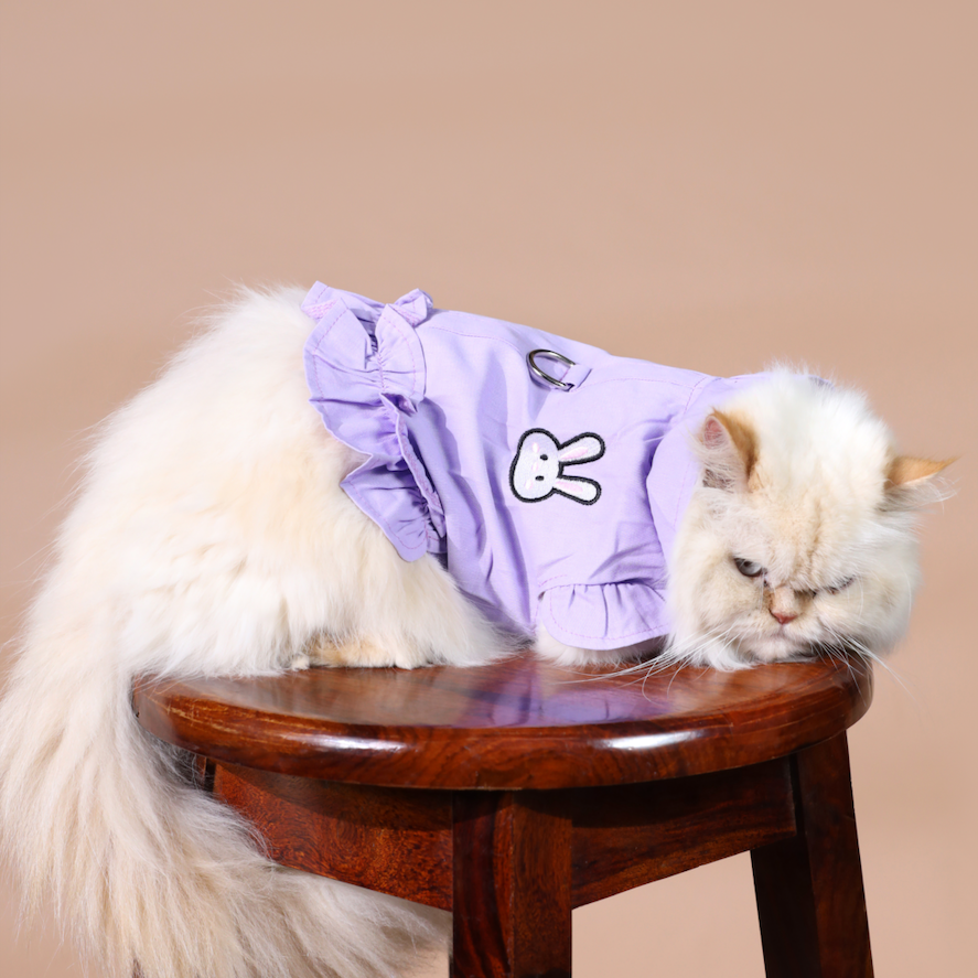 Frill Shirt Style Harness for Dogs - Comfortable & Stylish Pet Clothes | Claws N Paws