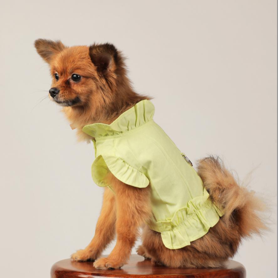Frill Shirt Style Harness for Dogs - Comfortable & Stylish Pet Clothes | Claws N Paws