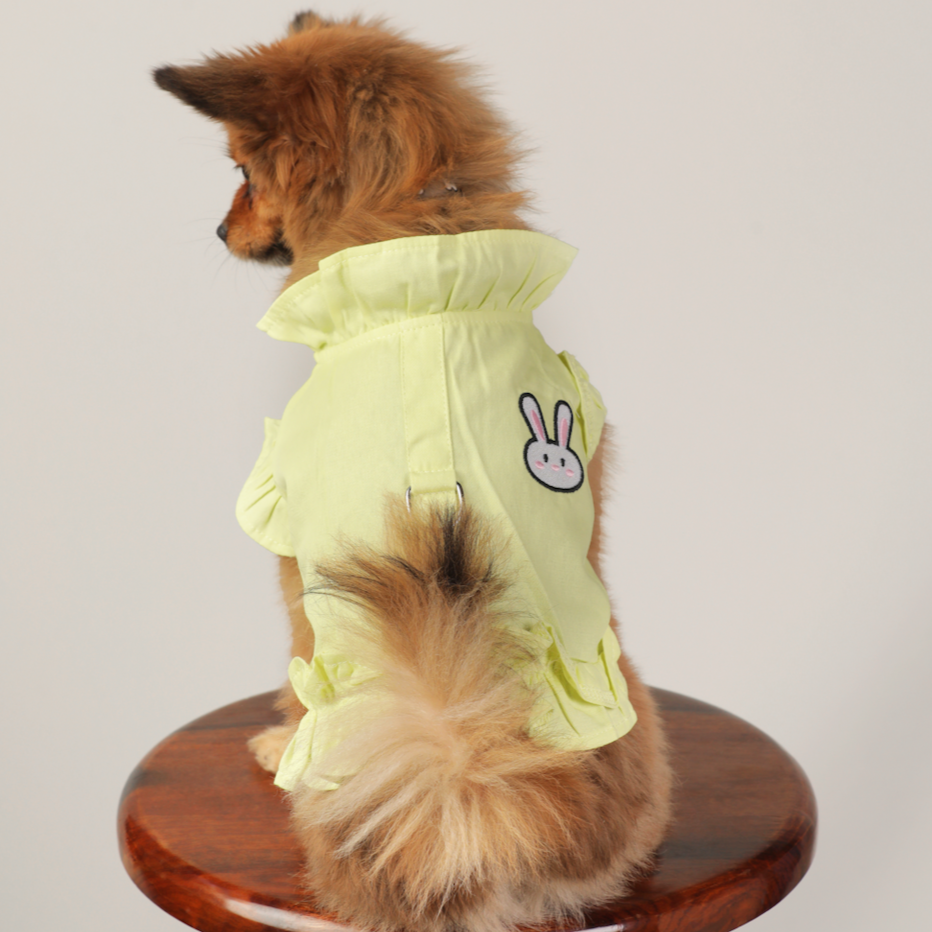 Frill Shirt Style Harness for Dogs - Comfortable & Stylish Pet Clothes | Claws N Paws