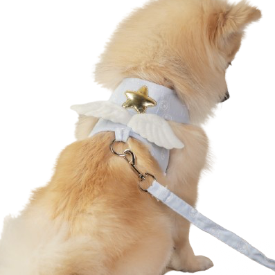Angel Wings Harness and Leash Set