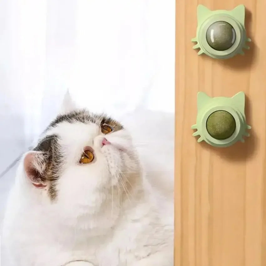 Catnip Lickable Ball – Engaging Fun for Your Cat