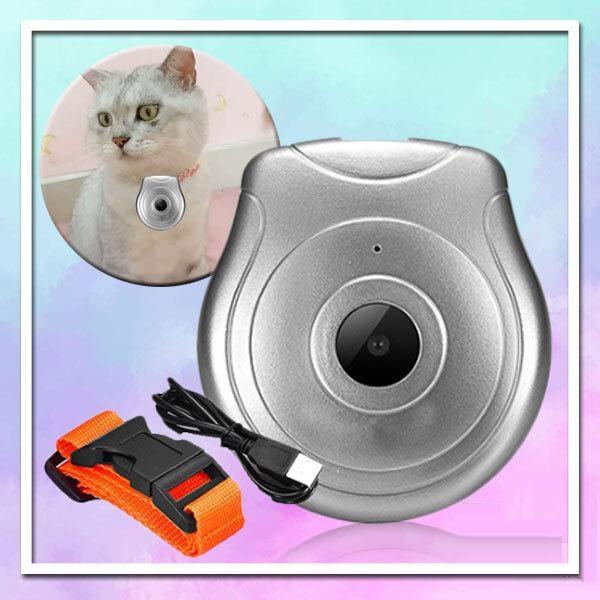 PetView UltraHD Collar Camera