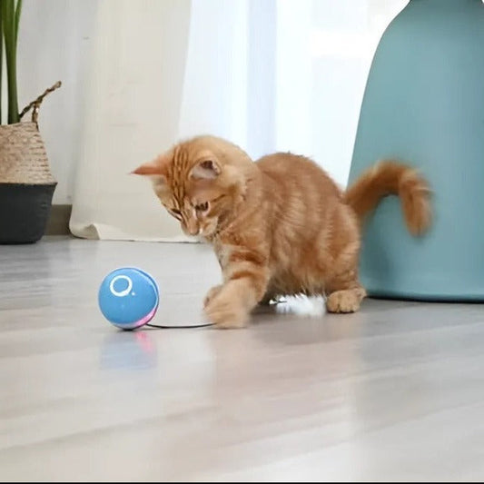 LED Smart Gravitational Rotating Ball – Ultimate Play for Cats
