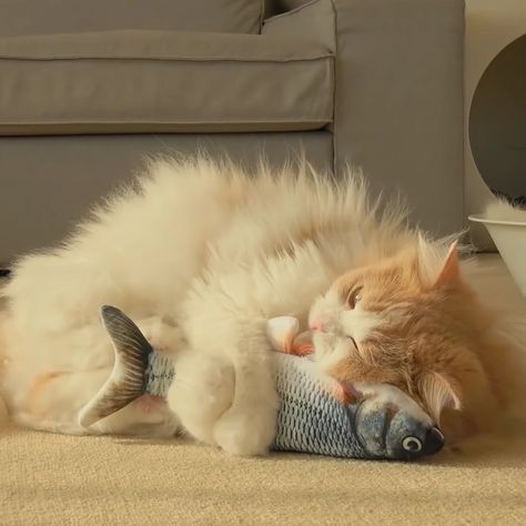 Cat Toy| Floppy Fish Cat Toy