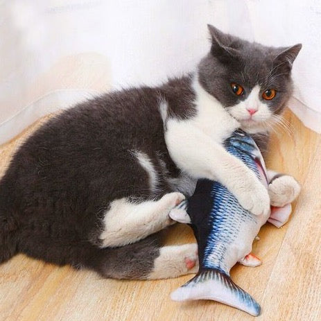 Cat Toy| Floppy Fish Cat Toy