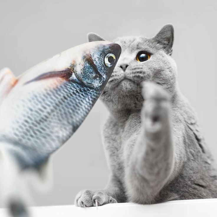 Cat Toy| Floppy Fish Cat Toy
