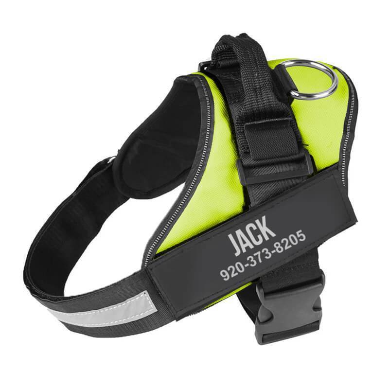 Personalized NO-PULL Harness *LIFETIME WARRANTY*