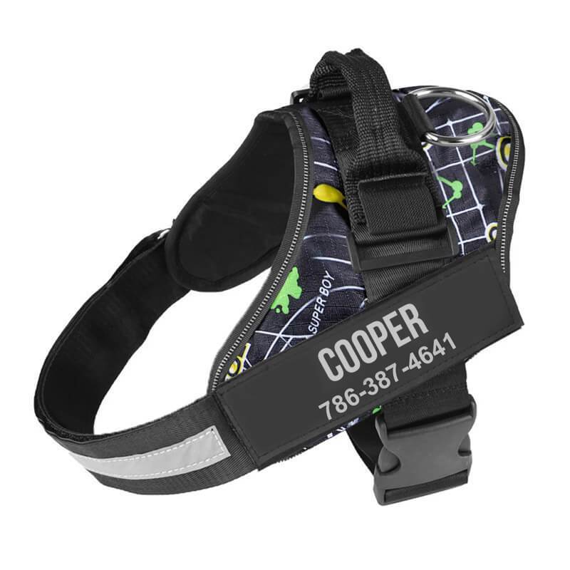 Personalized NO-PULL Harness *LIFETIME WARRANTY*