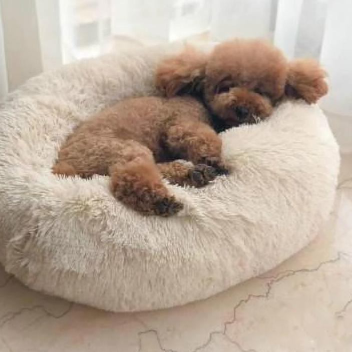Happy Paws™ Anti-Anxiety Calming Dog Bed