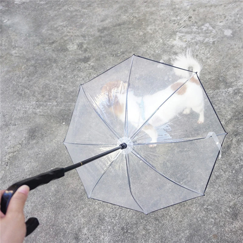 PawGuard™️ Transparent Pet Umbrella with Leash