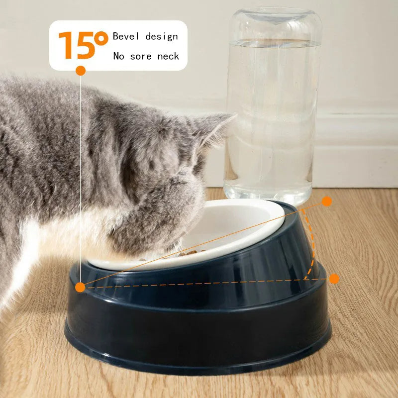 Double Bowl Cat Water Dispenser – No-Spill, Cervical Spine Protection